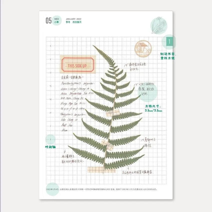 2023 B6 & A6 Papermood DOUBLE Book Tomoe River 52gsm Sanzen One Day Per Page Cousin Techo Planner Notebook Journal | 416 Pages