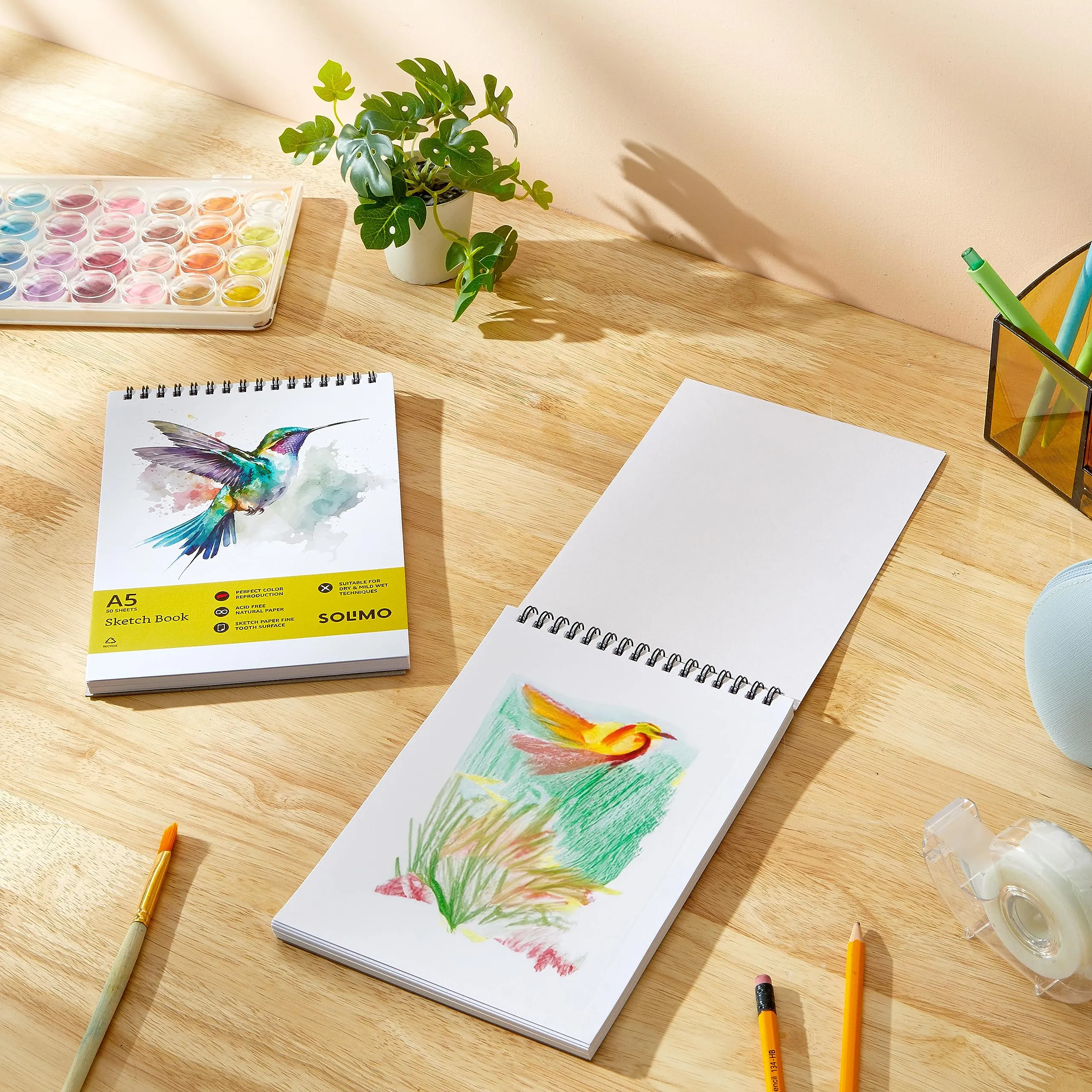 Amazon Brand - Solimo Sketchbooks, Spiral-Bound, Mini Size, Professional-Grade Sheets, Compatible with a Range of Art Material (A5, Set of 2)