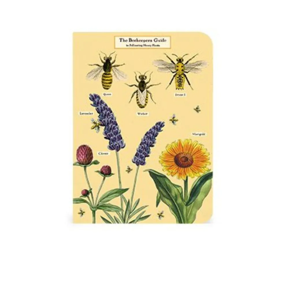 Bee & Honey Mini Notebooks - Set of Three