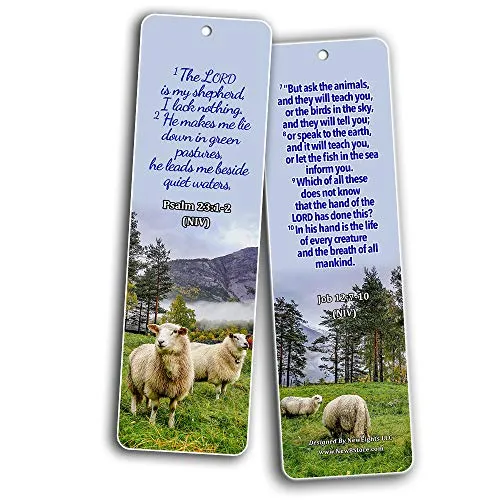 Bible Verses About Grace KJV (30 Pack) - Handy Reminder About God?s Grace