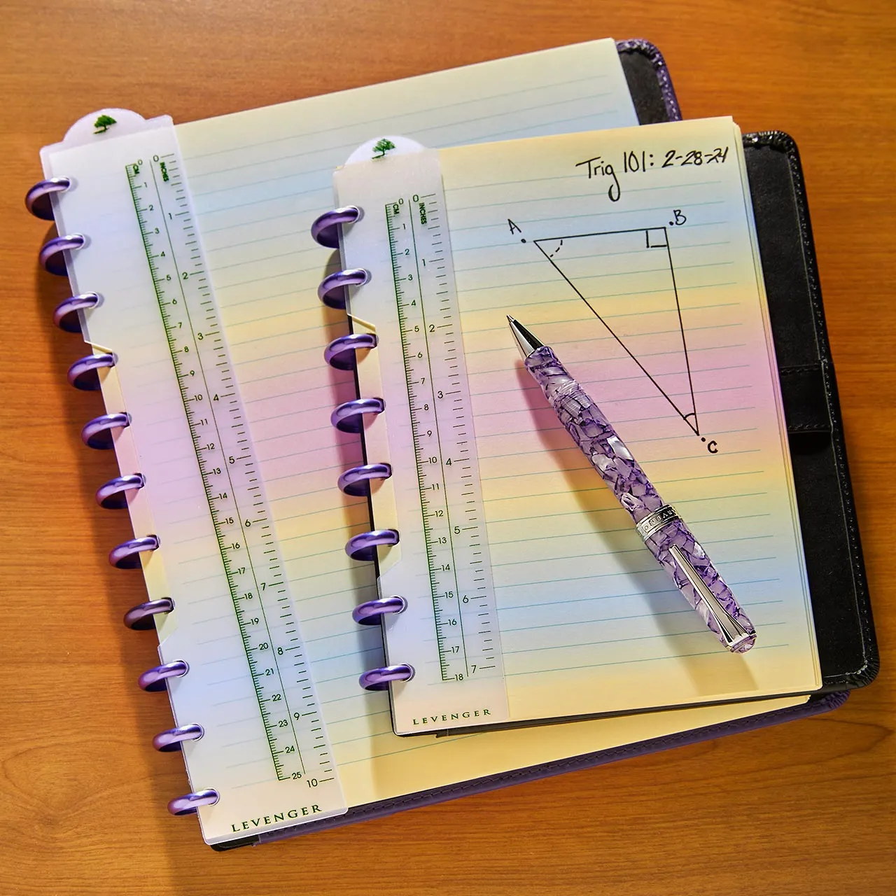 Circa Discbound Notebook Page Finder (set of 2)