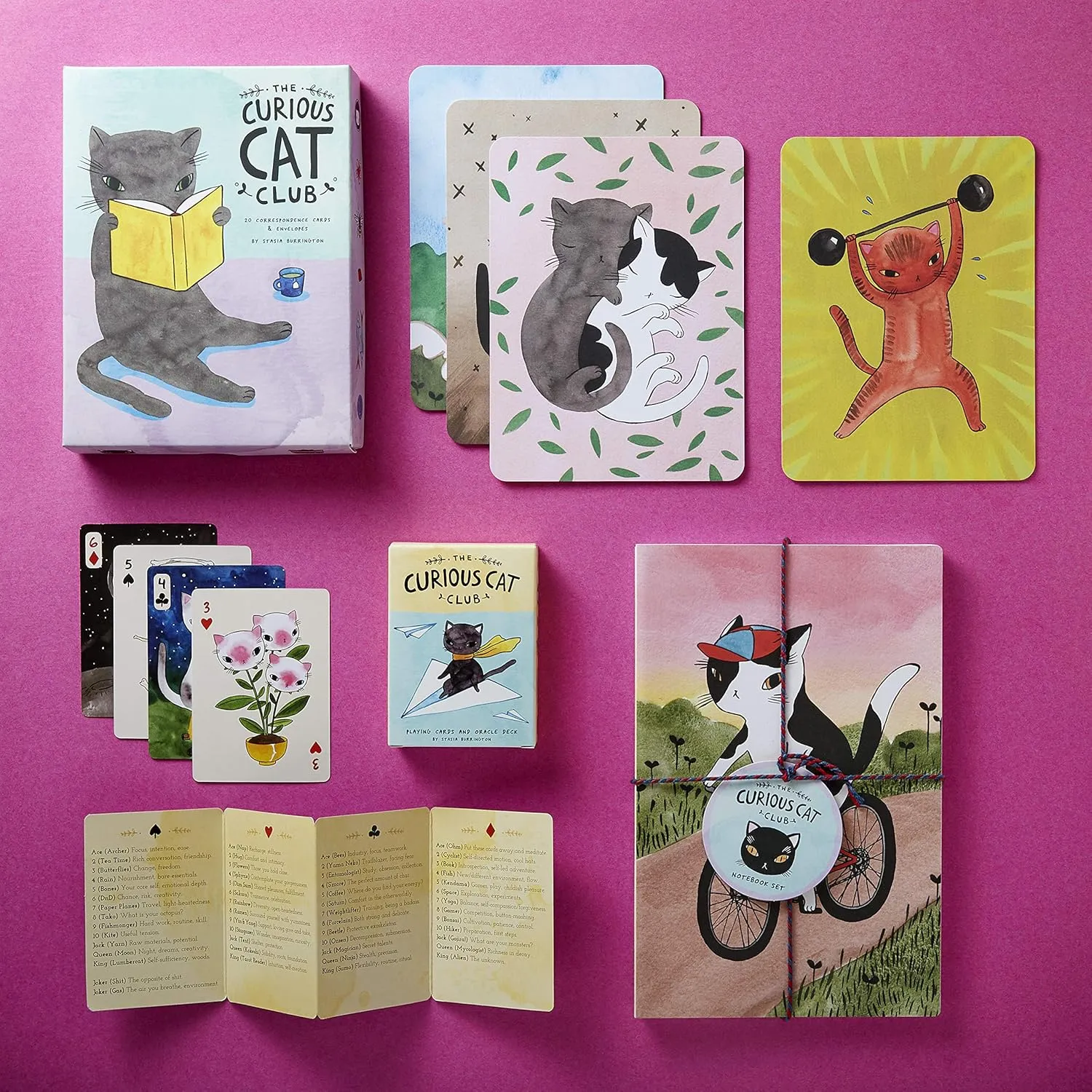 curious cat club notebook set