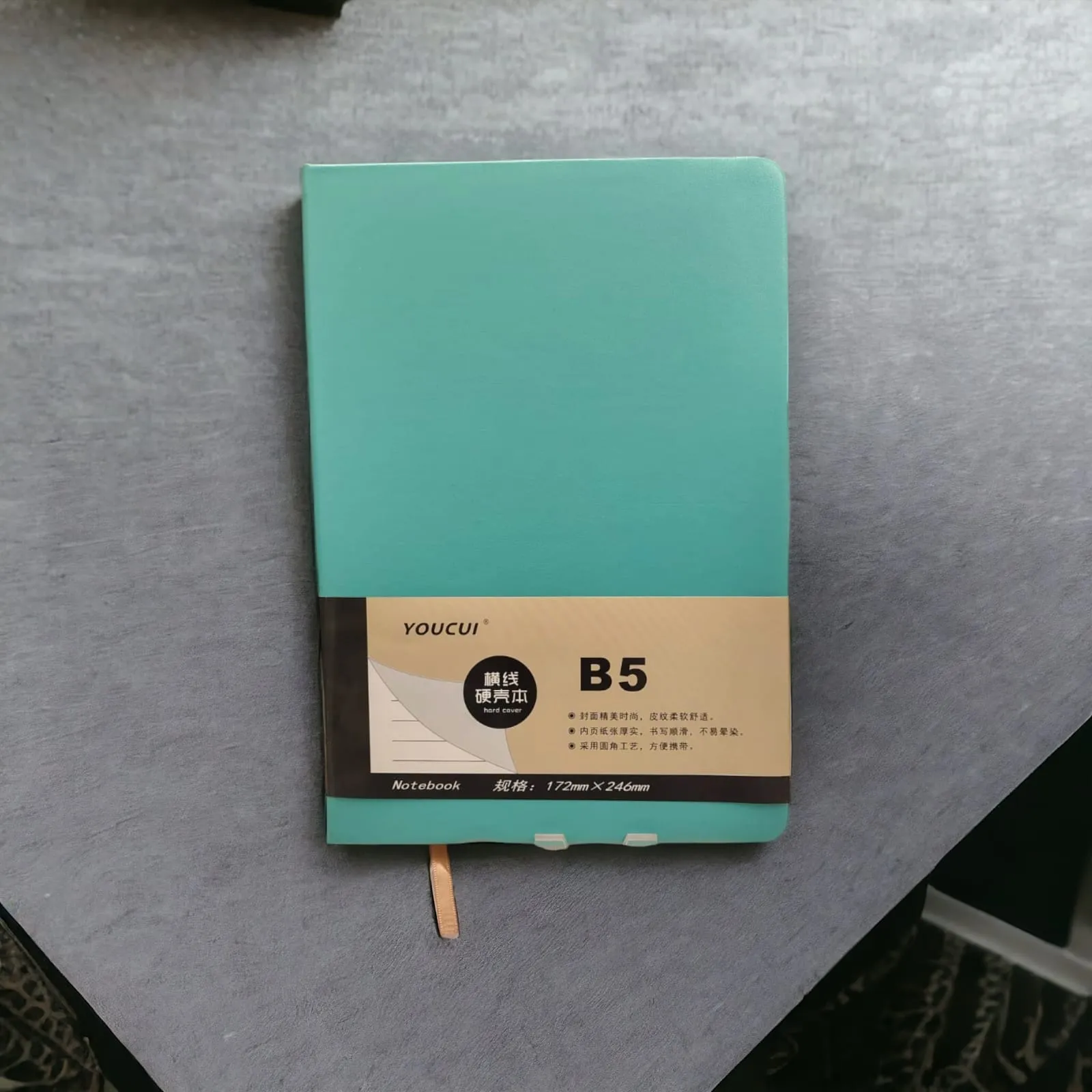 DailyScribe Diary