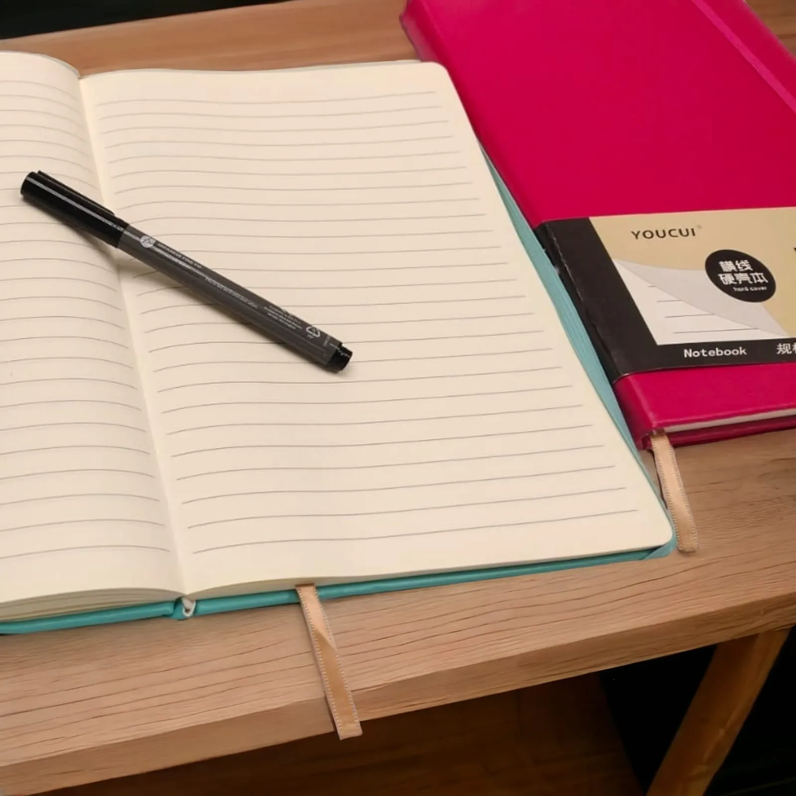 DailyScribe Diary
