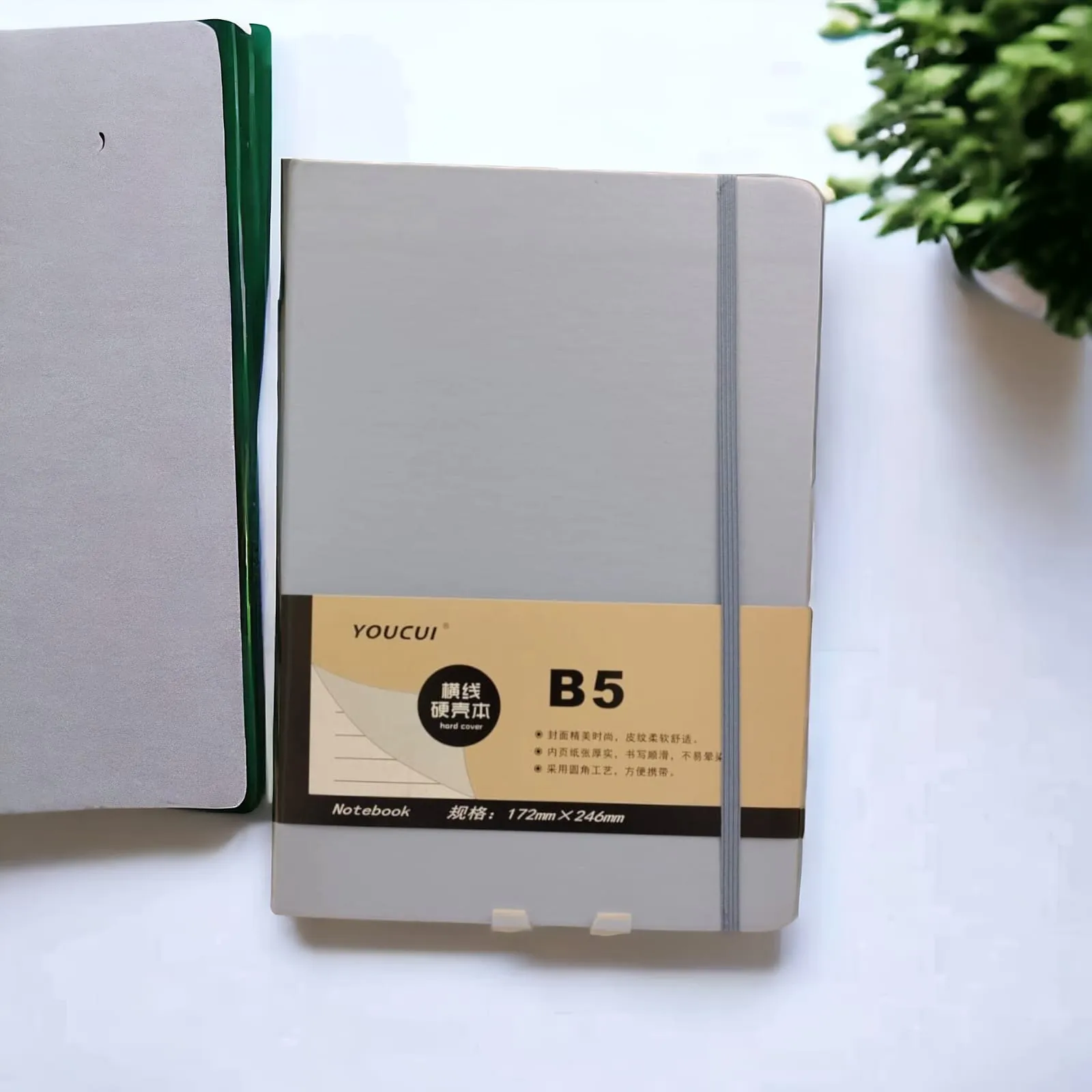 DailyScribe Diary