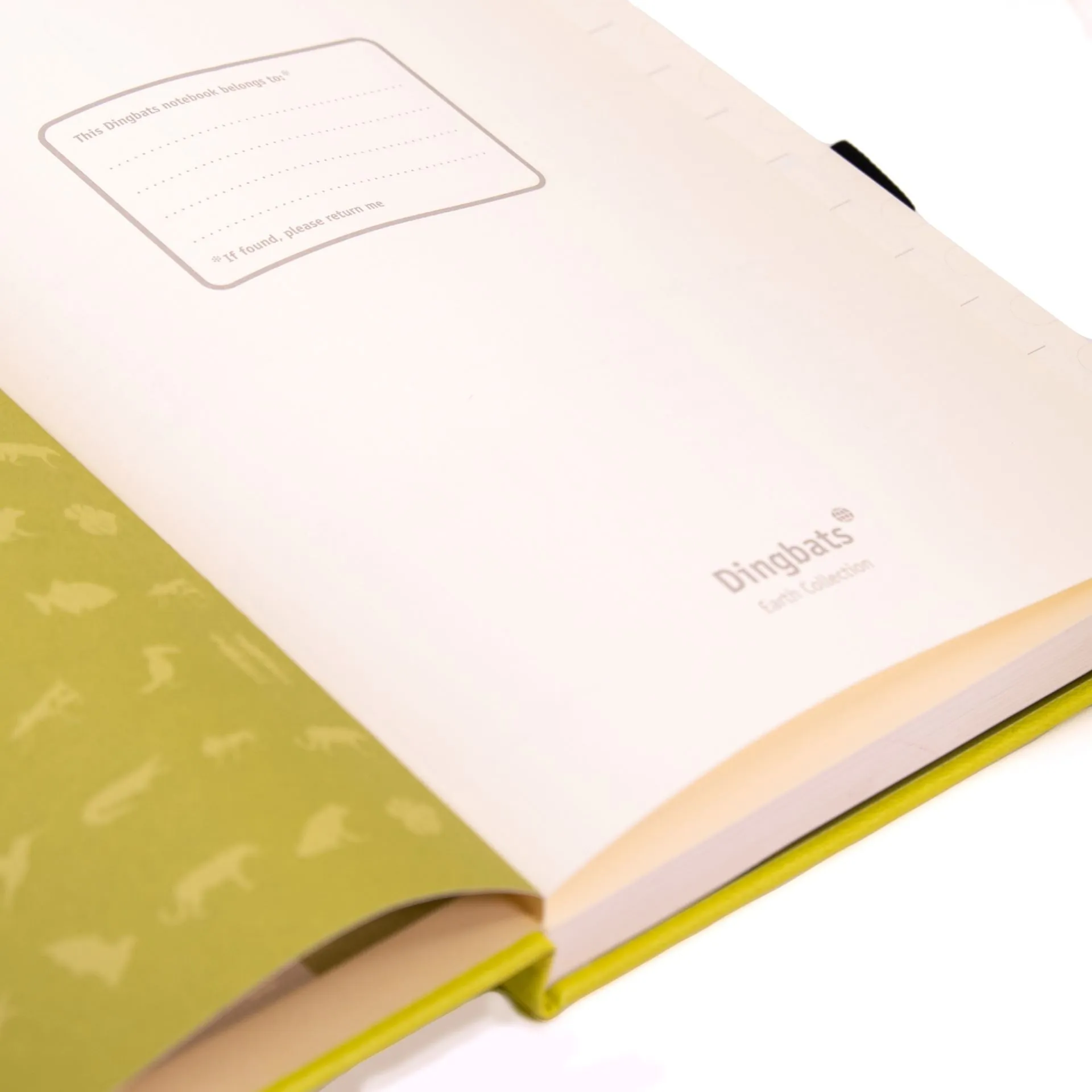 Dingbats Notebooks