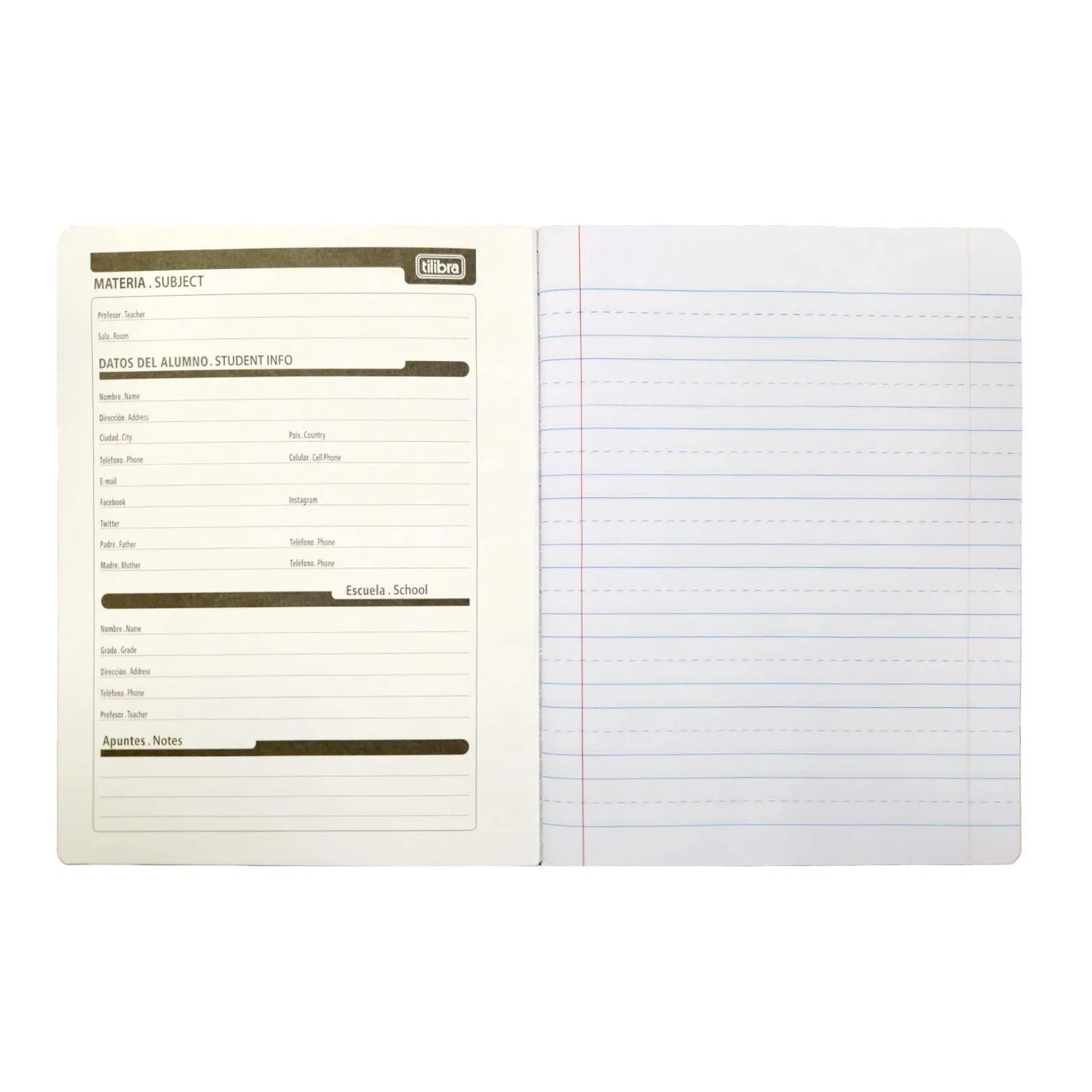 Foroni - Minions Calligraphy Notebooks -Third