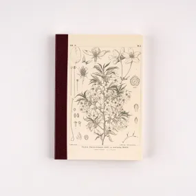 Hobonichi Plain Notebook [Tomitaro Makino: Yamazakura] A6