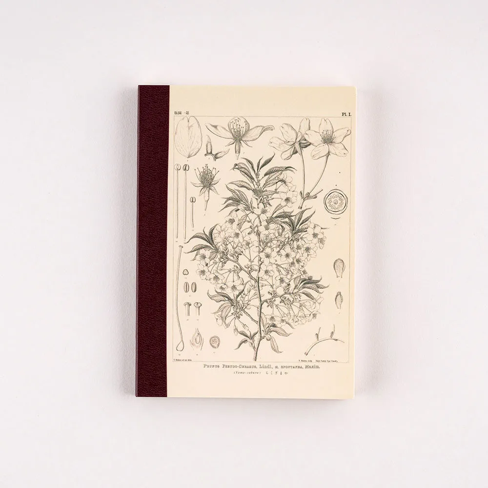 Hobonichi Plain Notebook [Tomitaro Makino: Yamazakura] A6