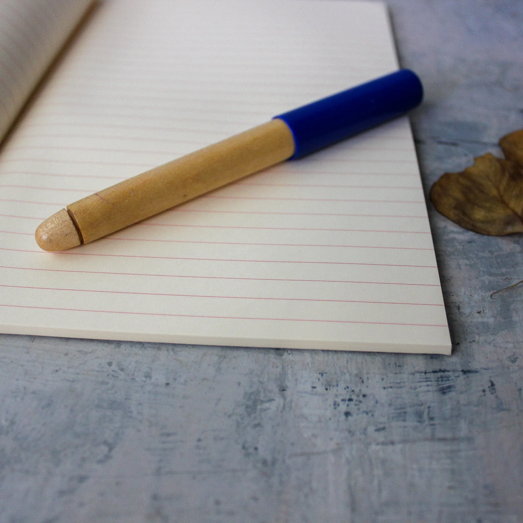 Life Vermilion Notebooks