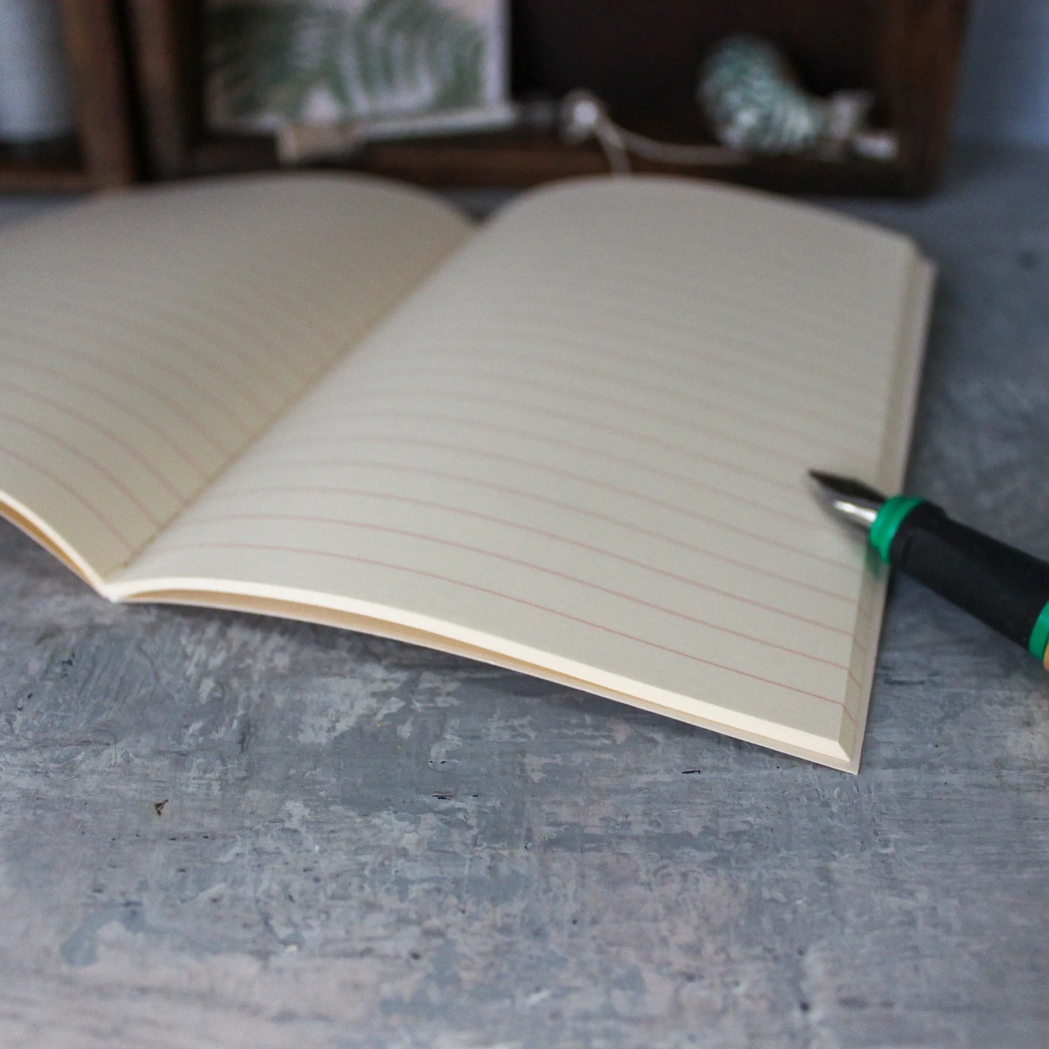 Life Vermilion Notebooks