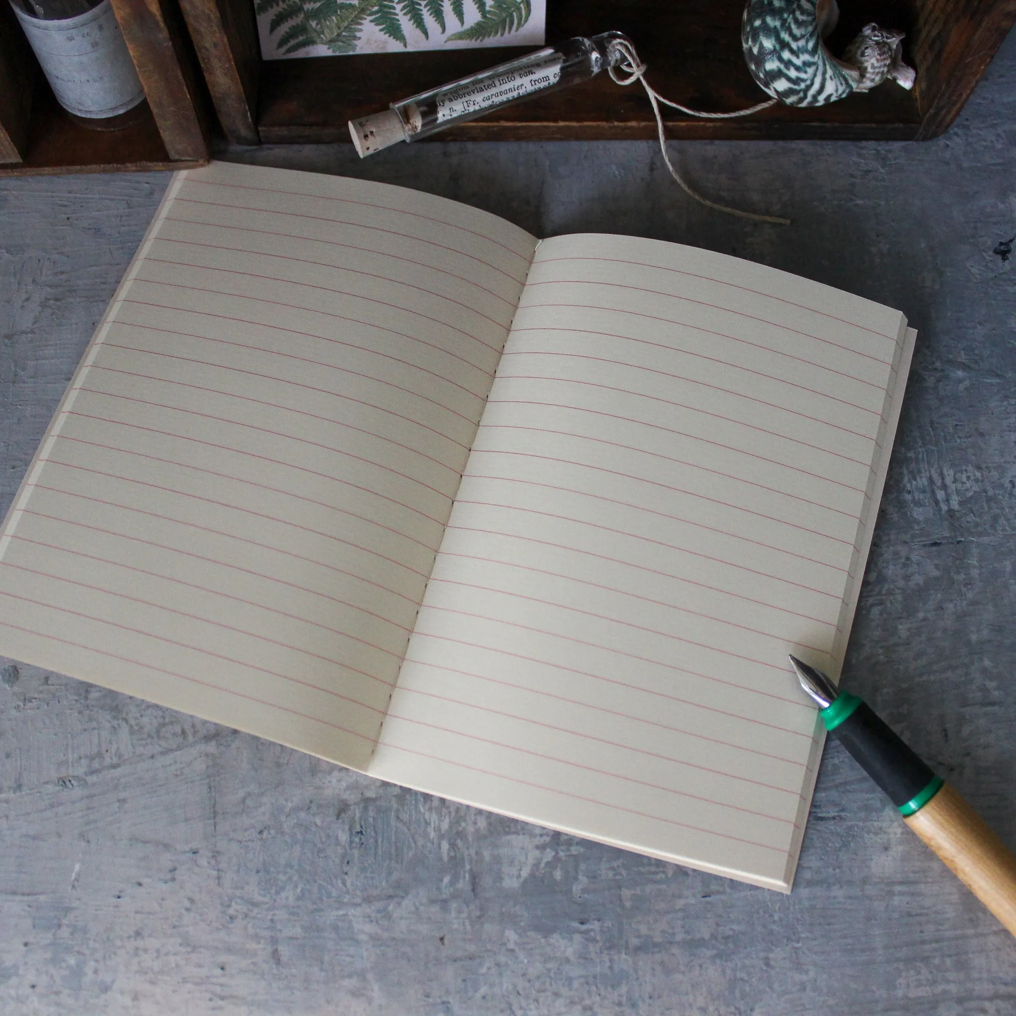 Life Vermilion Notebooks