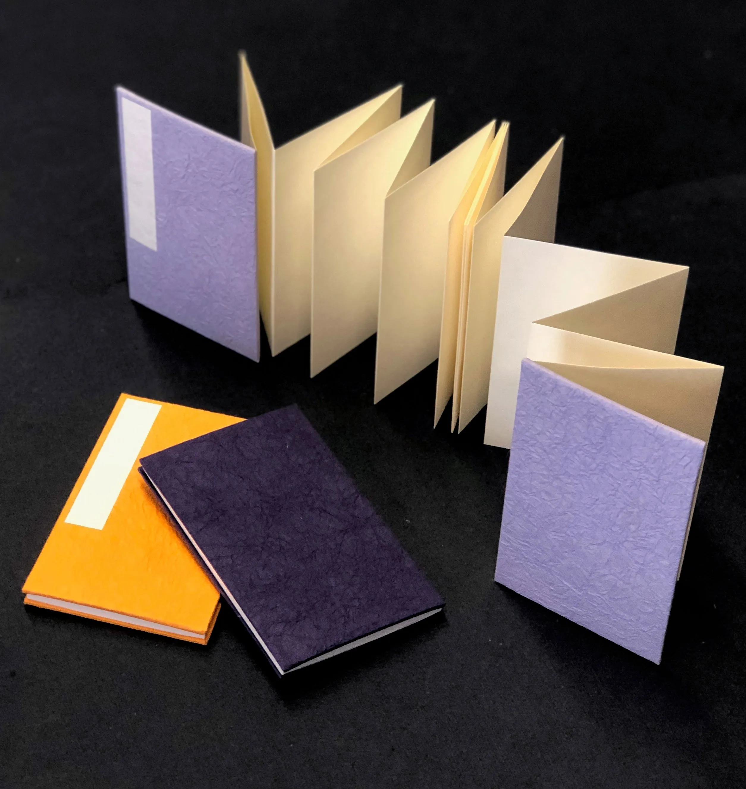 Orihon- Japanese Accordion Notebooks: Medium