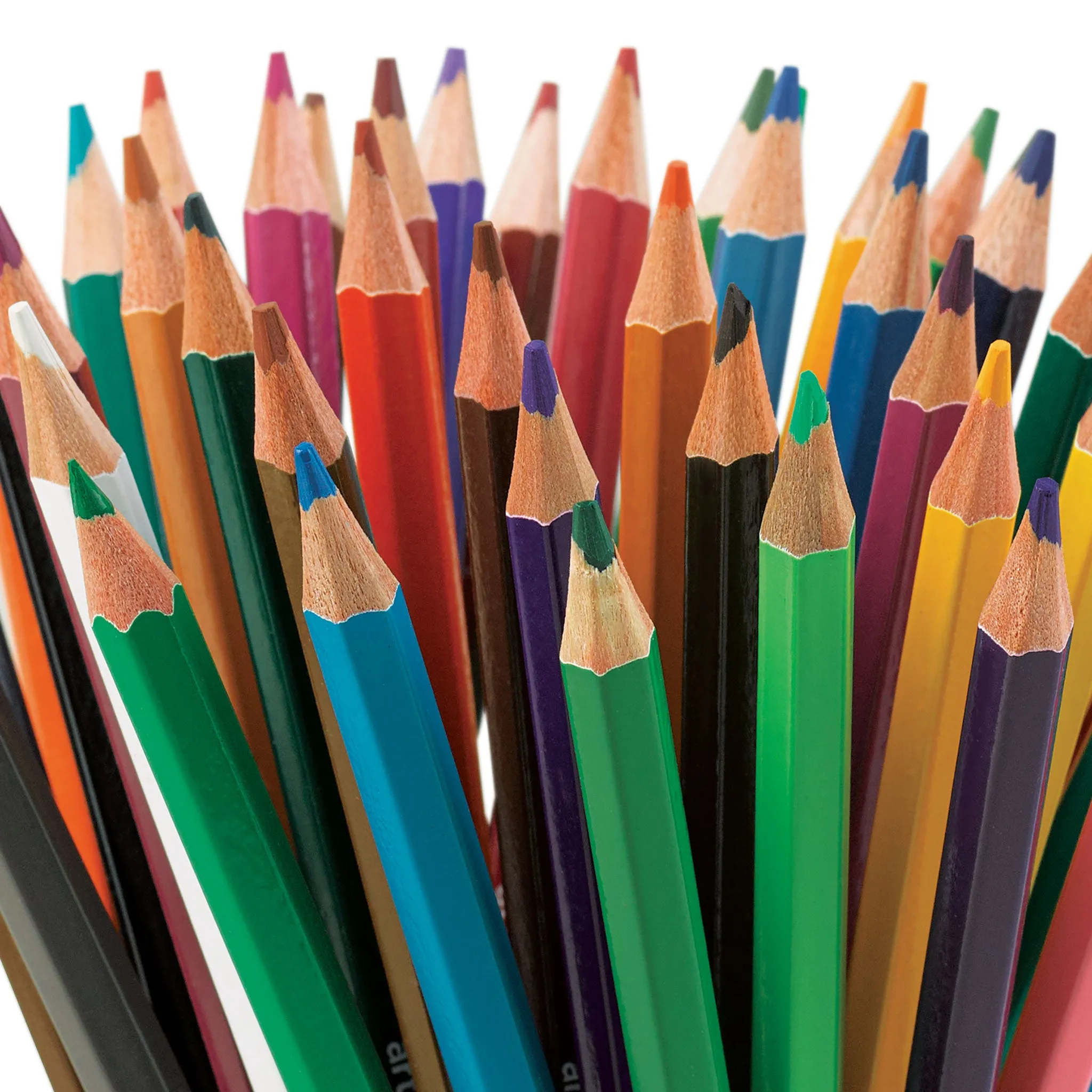 Premium Colored Pencils - Set of 12