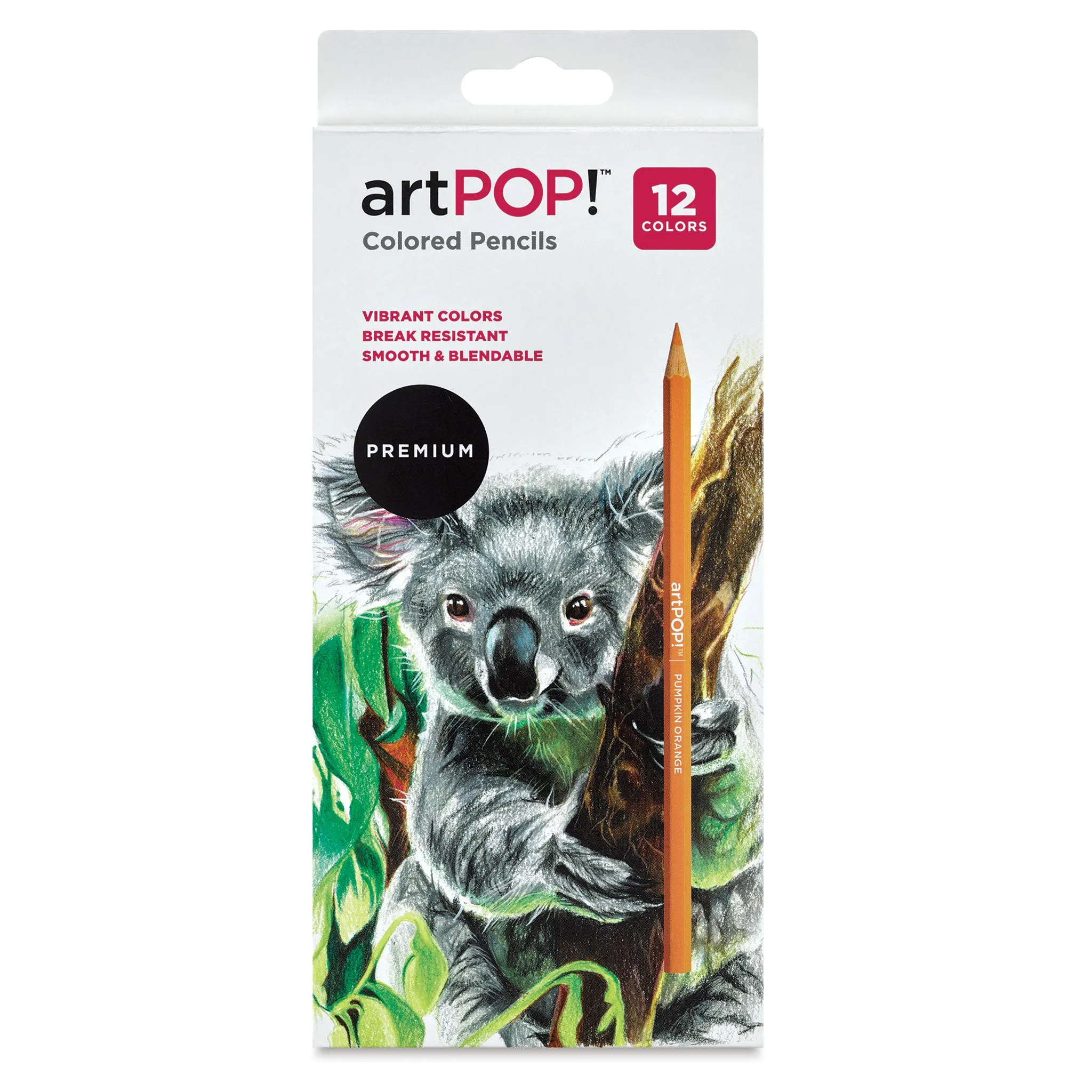 Premium Colored Pencils - Set of 12
