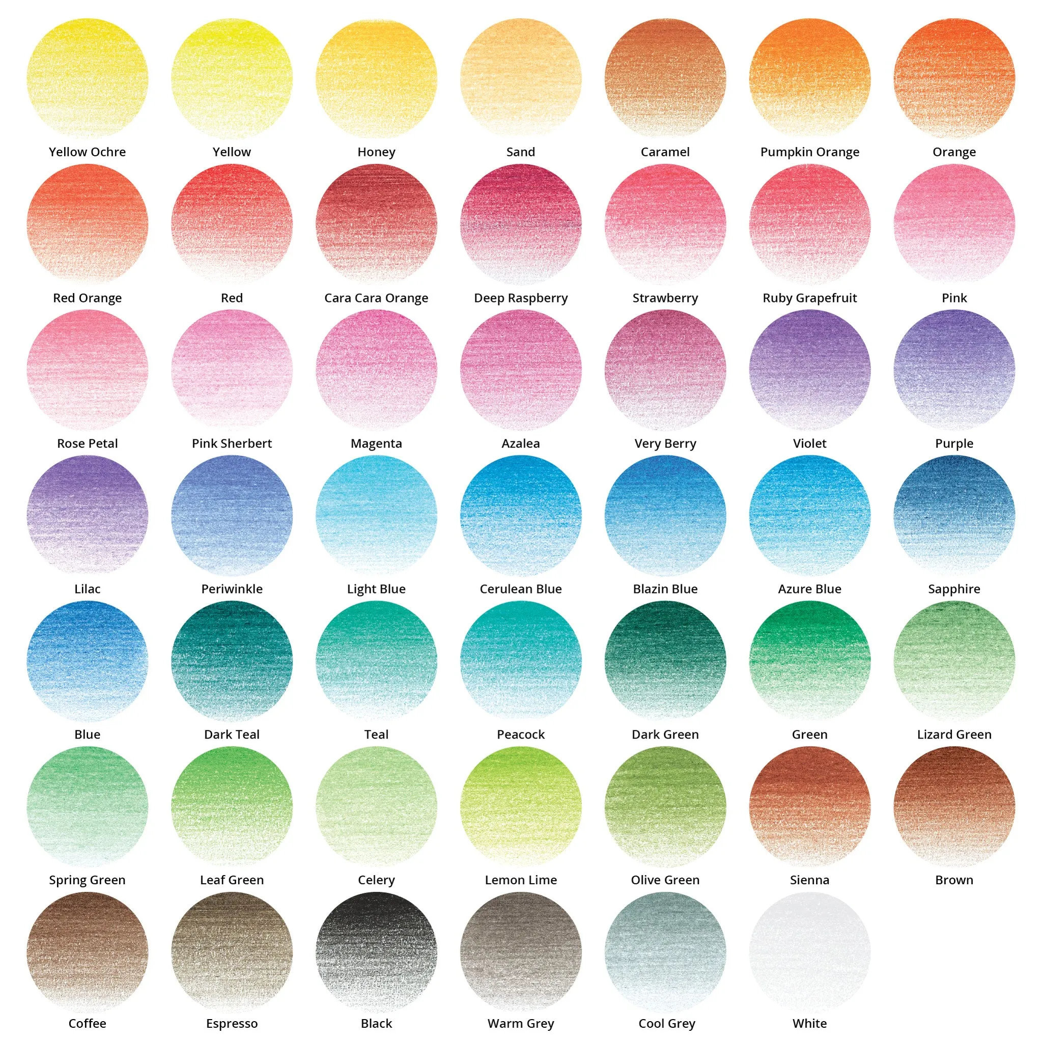 Premium Colored Pencils - Set of 48