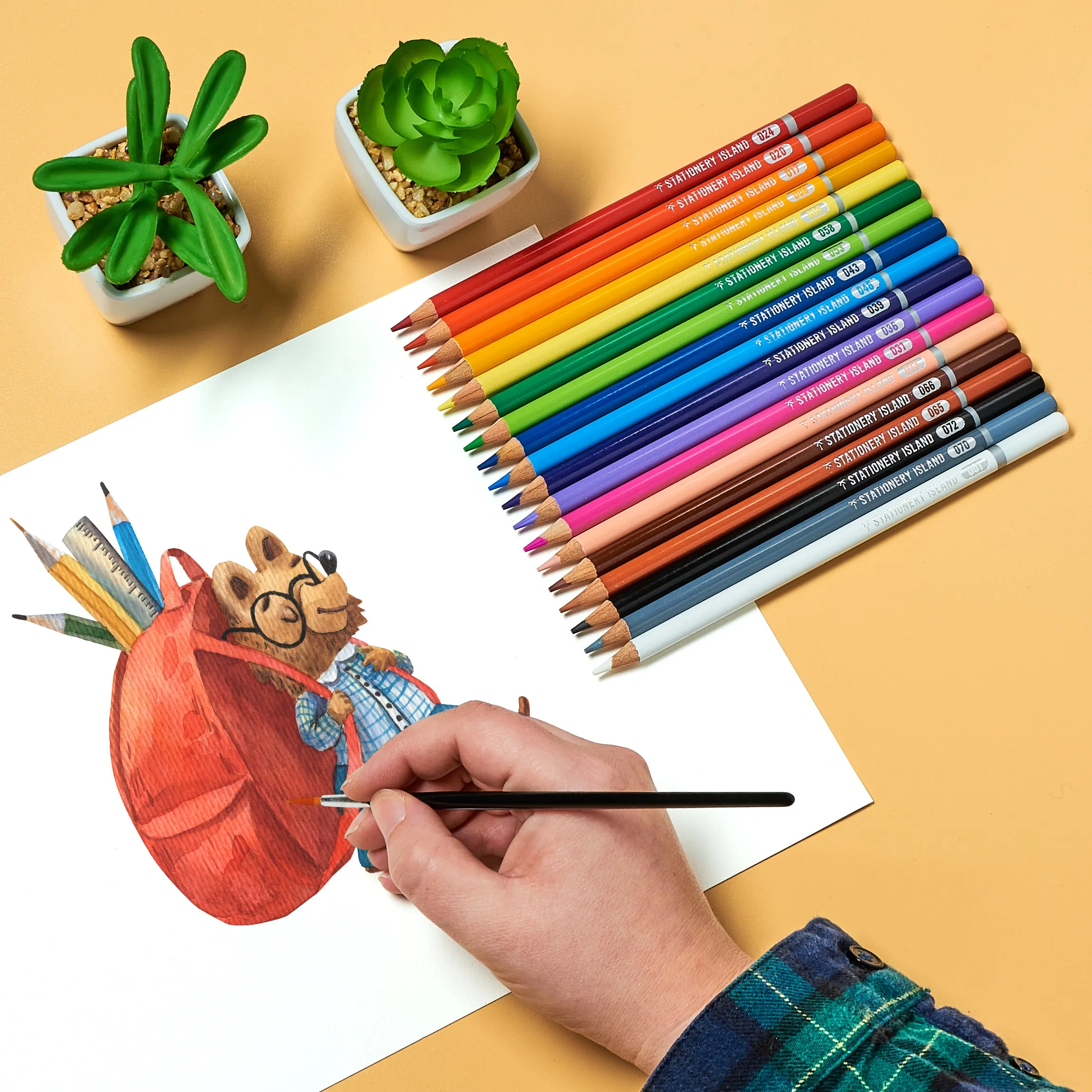 Watercolour Pencils - Set of 24